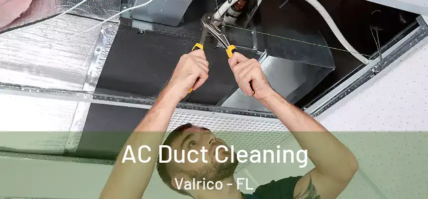  AC Duct Cleaning Valrico - FL