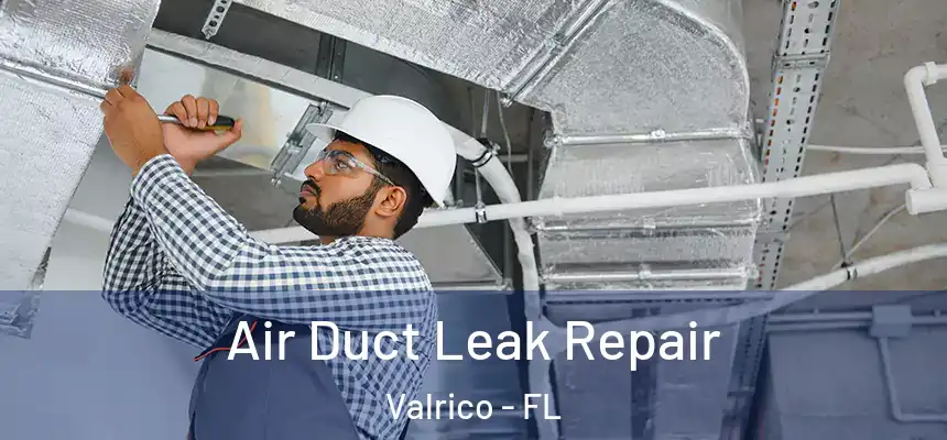 Air Duct Leak Repair Valrico - FL