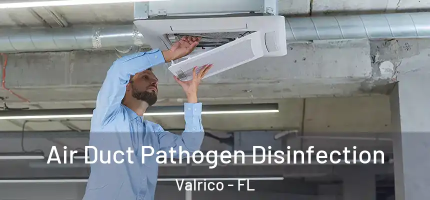  Air Duct Pathogen Disinfection Valrico - FL