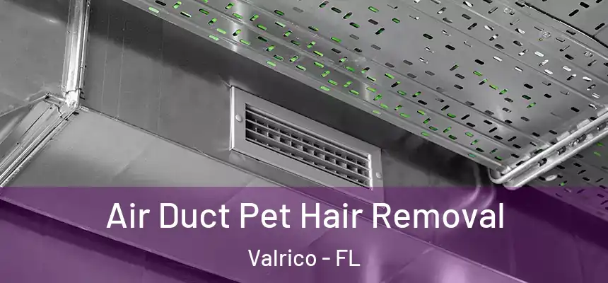 Air Duct Pet Hair Removal Valrico - FL