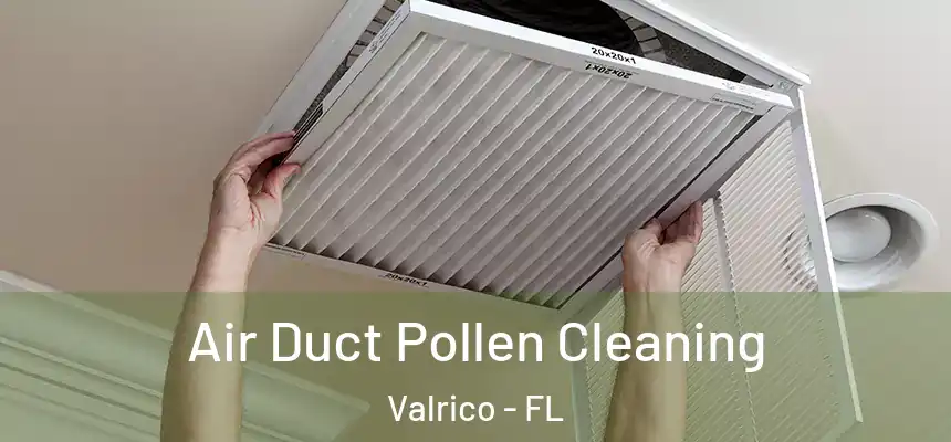  Air Duct Pollen Cleaning Valrico - FL