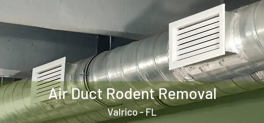  Air Duct Rodent Removal Valrico - FL