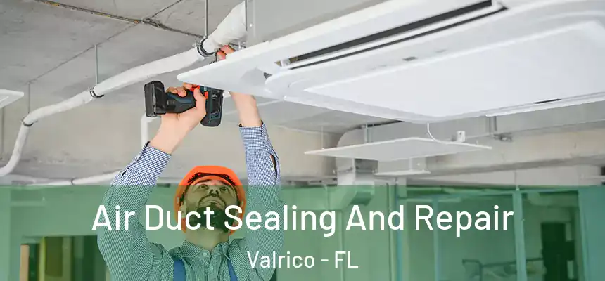 Air Duct Sealing And Repair Valrico - FL