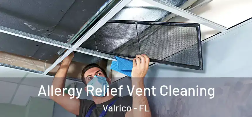  Allergy Relief Vent Cleaning Valrico - FL