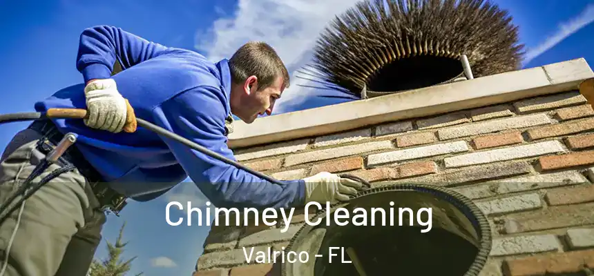  Chimney Cleaning Valrico - FL