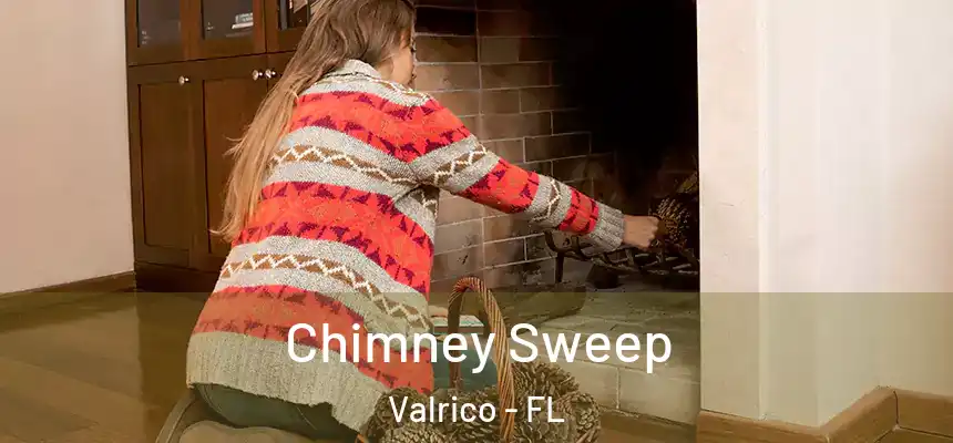  Chimney Sweep Valrico - FL
