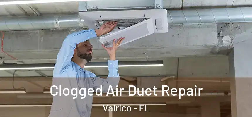  Clogged Air Duct Repair Valrico - FL