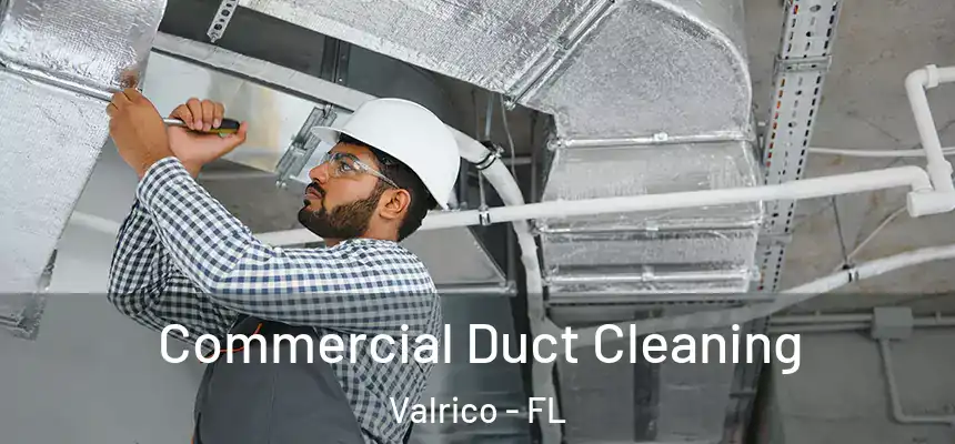 Commercial Duct Cleaning Valrico - FL