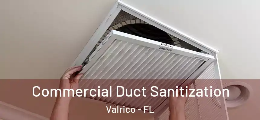  Commercial Duct Sanitization Valrico - FL