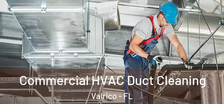 Commercial HVAC Duct Cleaning Valrico - FL