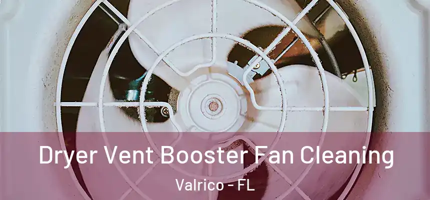  Dryer Vent Booster Fan Cleaning Valrico - FL