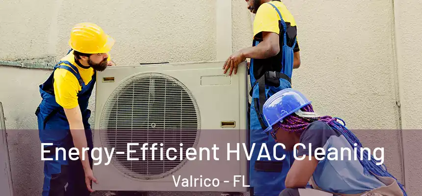  Energy-Efficient HVAC Cleaning Valrico - FL