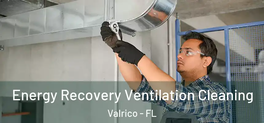  Energy Recovery Ventilation Cleaning Valrico - FL