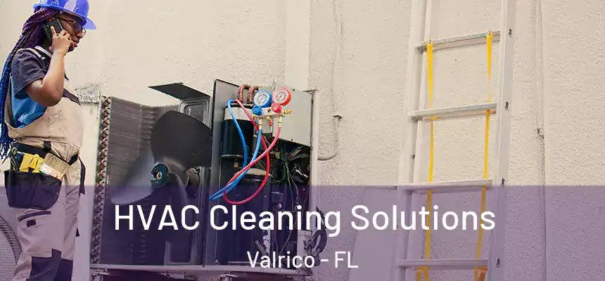  HVAC Cleaning Solutions Valrico - FL