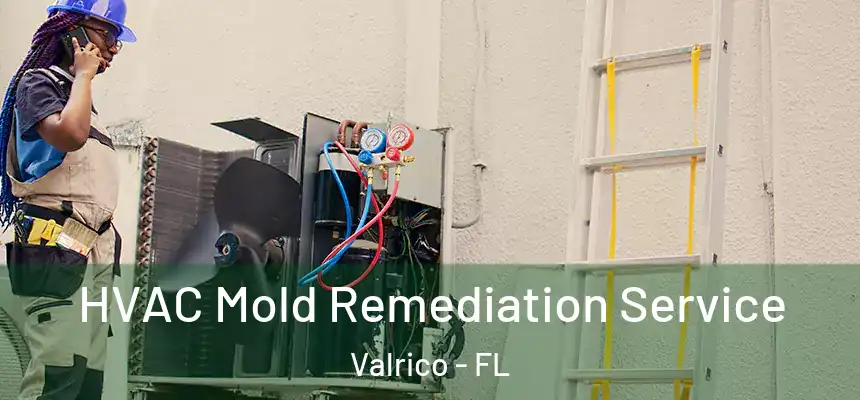  HVAC Mold Remediation Service Valrico - FL