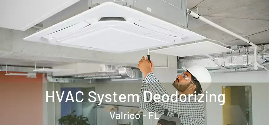  HVAC System Deodorizing Valrico - FL