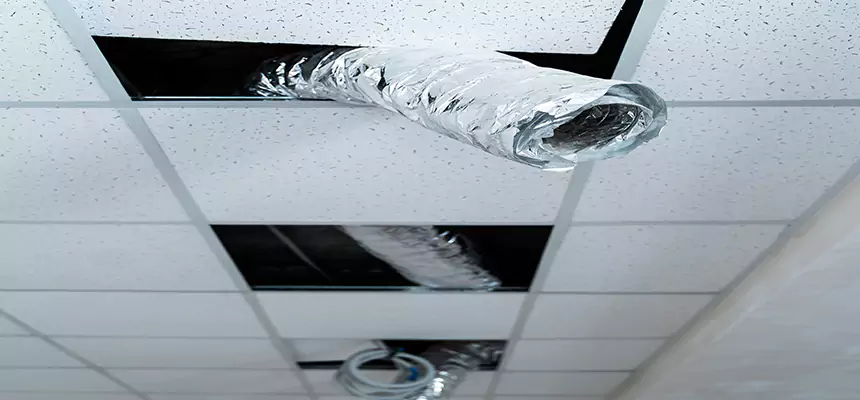 Affordable HVAC Sanitizing After Pest Removal in Valrico