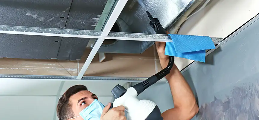 Our Air Duct Rodent Removal Services in Valrico, FL