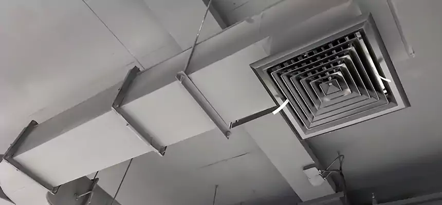 Restorative Allergy Relief Vent Cleaning – Coil, Blower & Housing Detail in Valrico