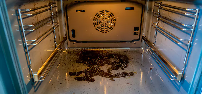 Our Dryer Vent Mold Cleaning Services in Valrico, FL