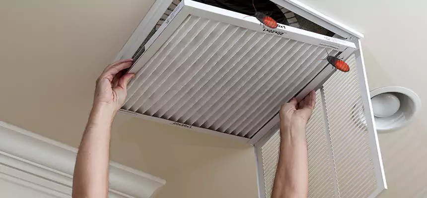 Our Insect Removal from Air Ducts Services in Valrico, FL