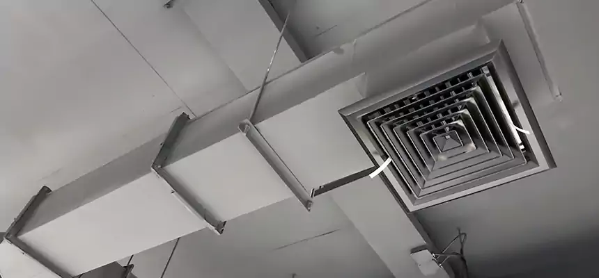 Our Rodent Droppings In Vents Services in Valrico, FL