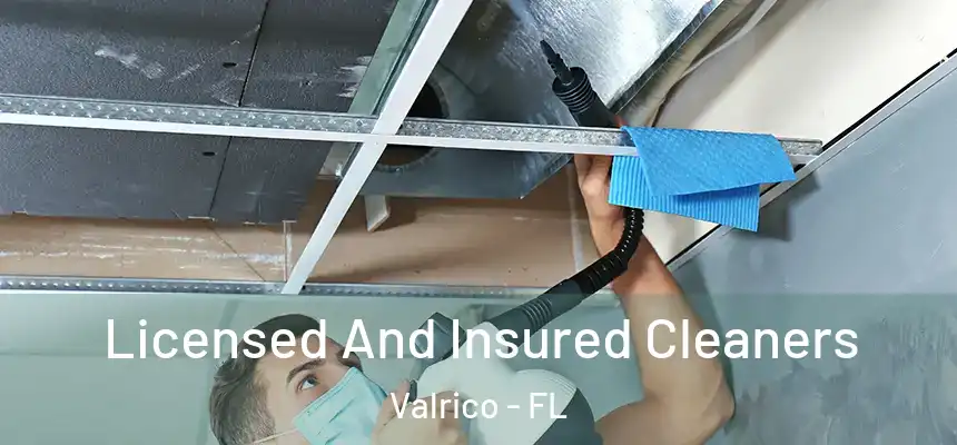  Licensed And Insured Cleaners Valrico - FL