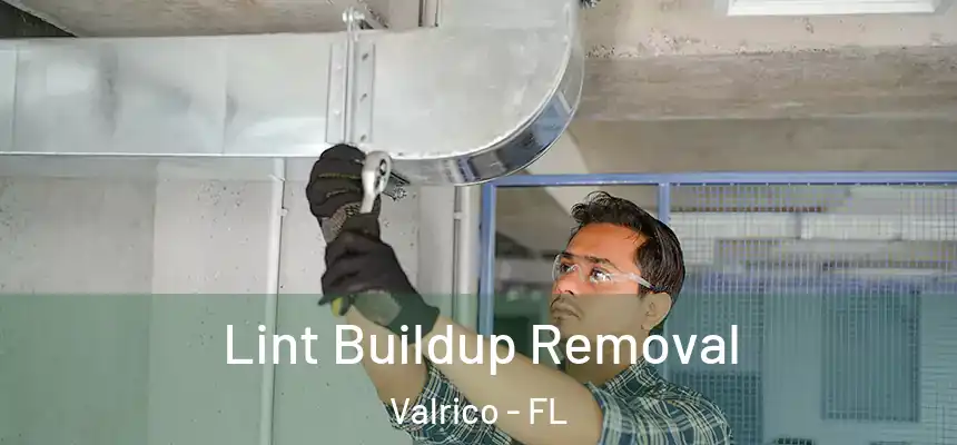  Lint Buildup Removal Valrico - FL