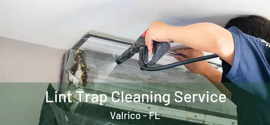  Lint Trap Cleaning Service Valrico - FL