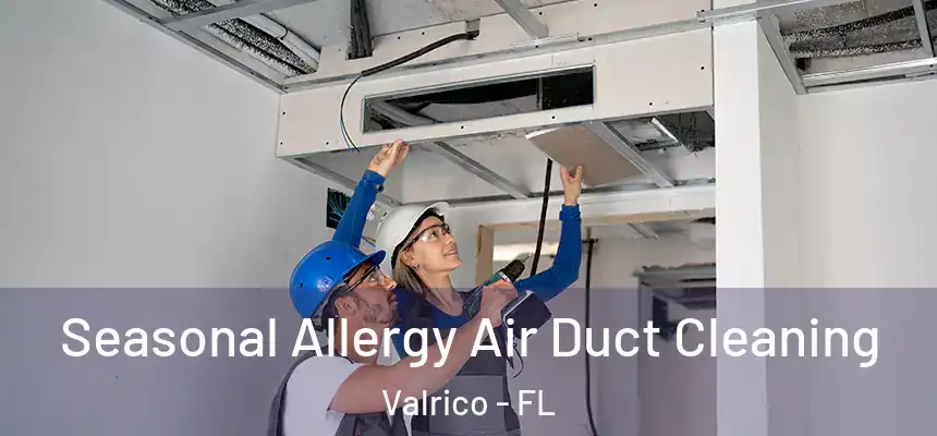 Seasonal Allergy Air Duct Cleaning Valrico - FL