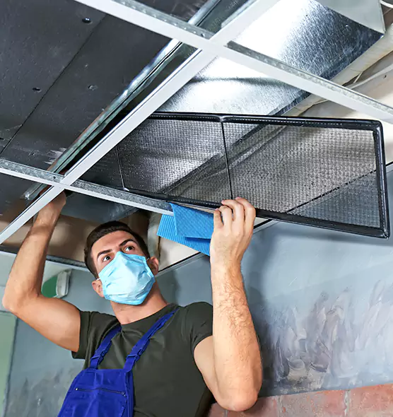 About Air Duct Bacteria Removal in Valrico
