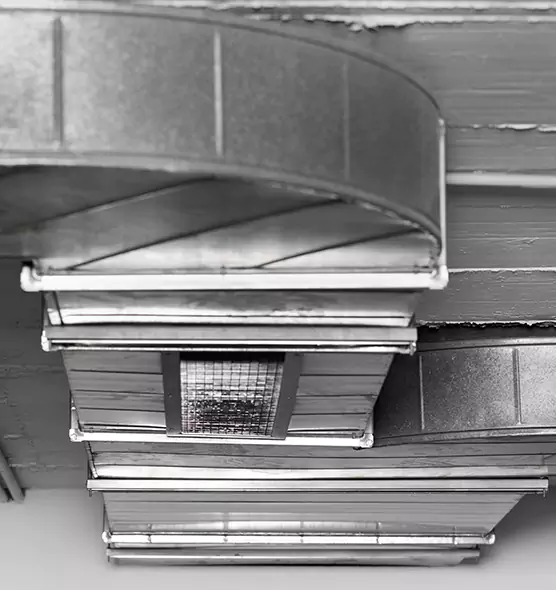 Professional Air Duct Pet Hair Removal in Valrico, FL