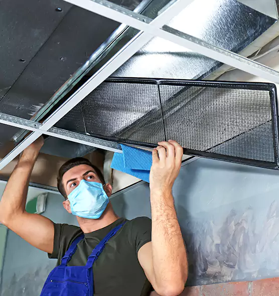 Professional Air Duct Pollen Cleaning in Valrico, FL