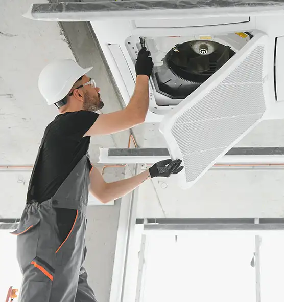 About Air Duct Rodent Removal in Valrico, FL