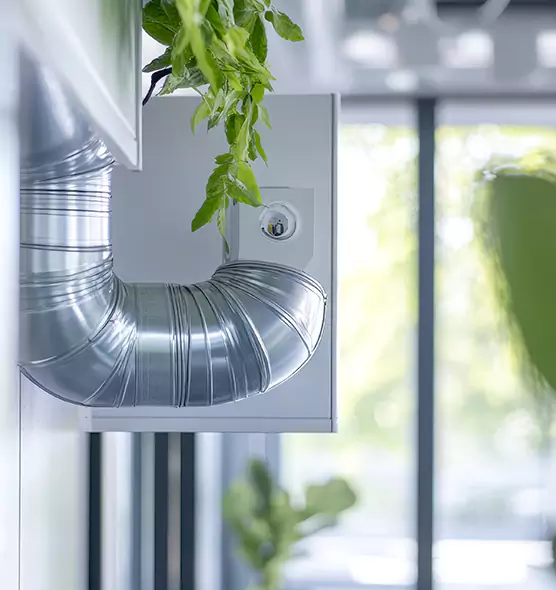 Professional Eco-Safe Dryer Vent Cleaning in Valrico, FL