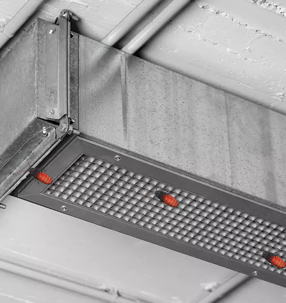 Affordable Insect Removal from Air Ducts in Valrico, FL