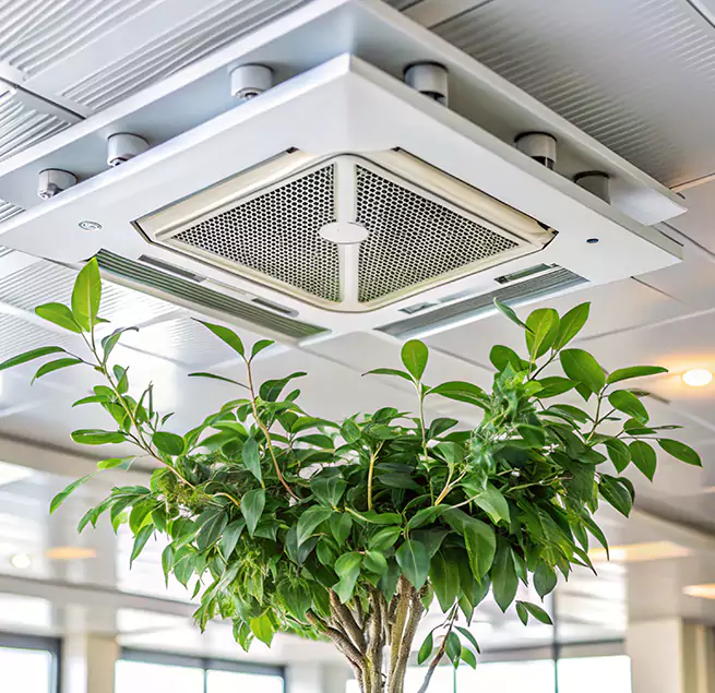 Why Homeowners & Businesses Trust Us in Valrico, FL