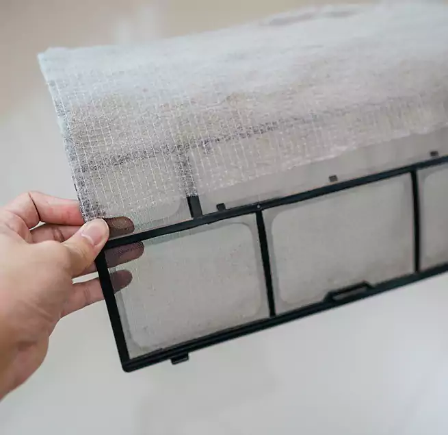 Why Homeowners & Businesses Trust Us in Valrico, FL?