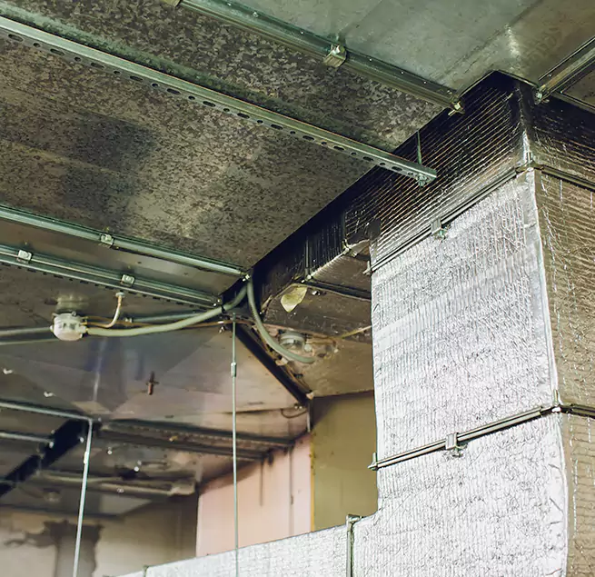 Why Homeowners & Businesses Trust Us in Valrico, FL?