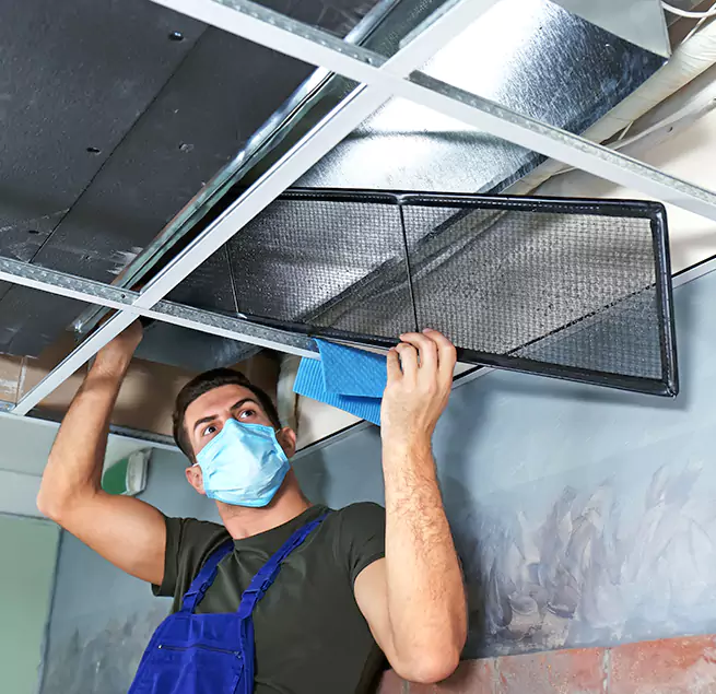 Why Homeowners & Businesses Trust Us in Valrico, FL?