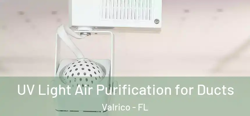  UV Light Air Purification for Ducts Valrico - FL