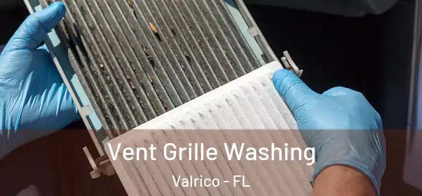  Vent Grille Washing Valrico - FL