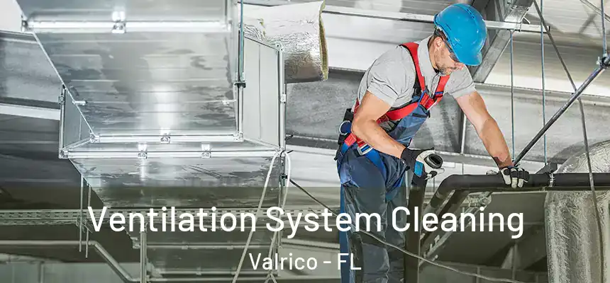  Ventilation System Cleaning Valrico - FL