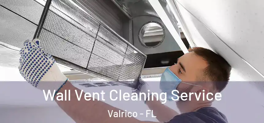  Wall Vent Cleaning Service Valrico - FL